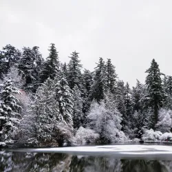 Central Park - Burnaby