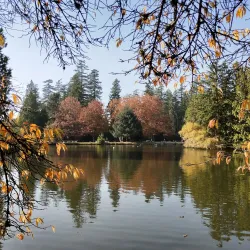 Central Park - Burnaby