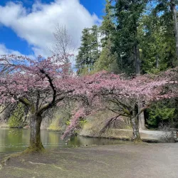 Central Park - Burnaby
