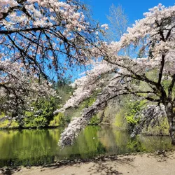 Central Park - Burnaby