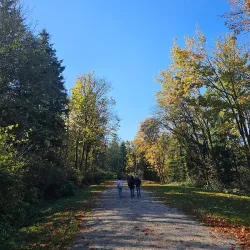 Confederation Park - Burnaby