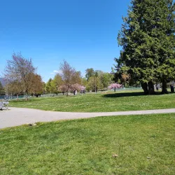 Confederation Park - Burnaby