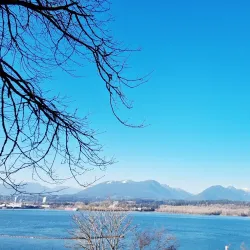 Confederation Park - Burnaby