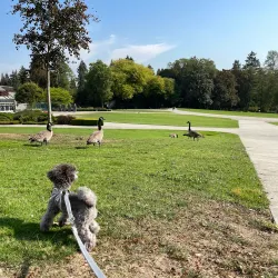 Deer Lake Park - Burnaby