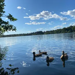 Deer Lake Park - Burnaby