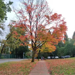 Deer Lake Park - Burnaby