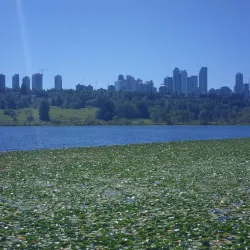 Deer Lake Park - Burnaby