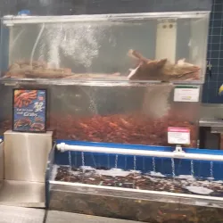 Metropolis at Metrotown - Burnaby