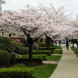 Nikkei National Museum & Cultural Centre - Burnaby