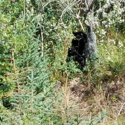 Burns Lake Golf Course - Burns Lake