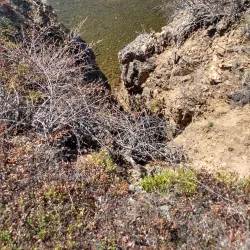 Francis Lake - Burns Lake