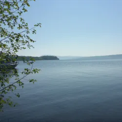 Francis Lake - Burns Lake