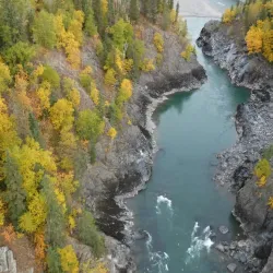Morice River - Burns Lake