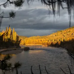 Morice River - Burns Lake