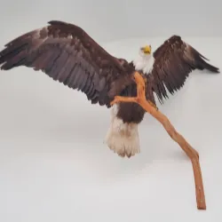 Nadleh Whut'en Heritage Centre - Burns Lake