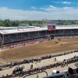 Calgary Stampede Grounds - Calgary