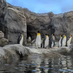 Calgary Zoo - Calgary