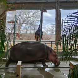 Calgary Zoo - Calgary