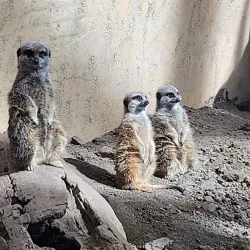 Calgary Zoo - Calgary