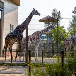 Calgary Zoo - Calgary