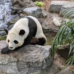 Calgary Zoo - Calgary