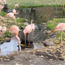 Calgary Zoo - Calgary