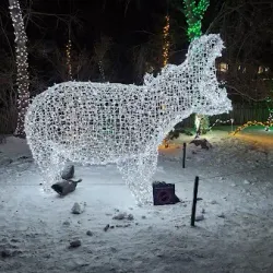 Calgary Zoo - Calgary