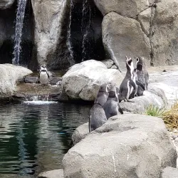 Calgary Zoo - Calgary