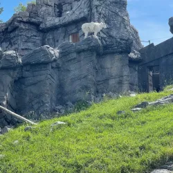 Calgary Zoo - Calgary