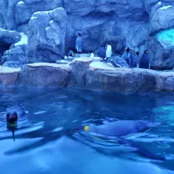 Calgary Zoo - Calgary