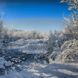 Fish Creek Provincial Park - Calgary