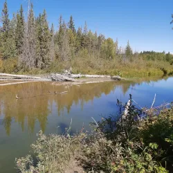 Fish Creek Provincial Park - Calgary