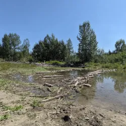 Fish Creek Provincial Park - Calgary