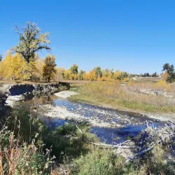 Fish Creek Provincial Park - Calgary