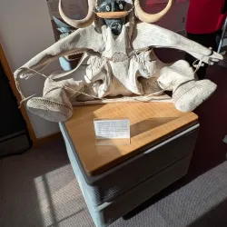 Arctic Wildlife Viewing - Cambridge Bay