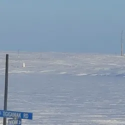 Arctic Wildlife Viewing - Cambridge Bay