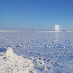 Arctic Wildlife Viewing - Cambridge Bay