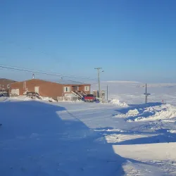 Arctic Wildlife Viewing - Cambridge Bay