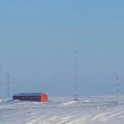 Arctic Wildlife Viewing - Cambridge Bay