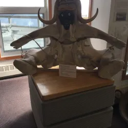 Arctic Wildlife Viewing - Cambridge Bay