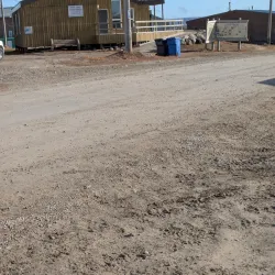 Arctic Wildlife Viewing - Cambridge Bay