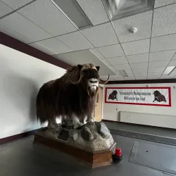 Cambridge Bay Airport - Cambridge Bay