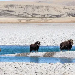 Cambridge Bay Waterfront - Cambridge Bay
