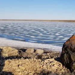 Victoria Island Tundra - Cambridge Bay