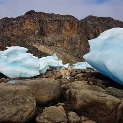Victoria Island Tundra - Cambridge Bay