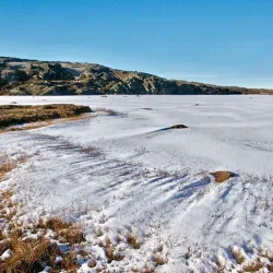Victoria Island Tundra - Cambridge Bay