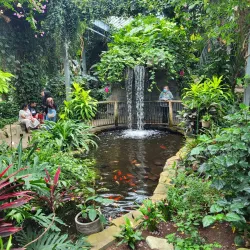 Cambridge Butterfly Conservatory - Cambridge