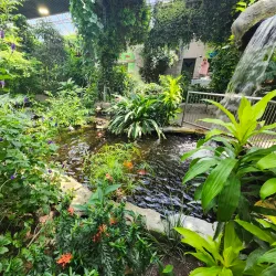 Cambridge Butterfly Conservatory - Cambridge