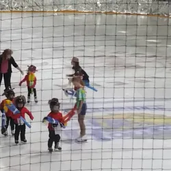 Galt Arena Gardens - Cambridge