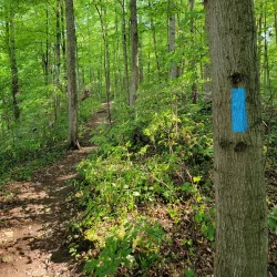 Grand River Trail - Cambridge
